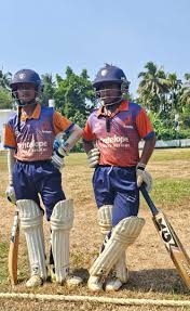 Image result for Antelope & Castle Cricket Club