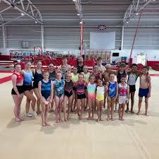 Image result for City Of Newcastle Gymnastics Academy