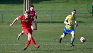 Image result for Walney Island Football Club