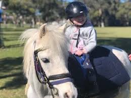 Image result for Buchan Group Riding For The Disabled