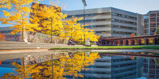 Image result for Bellevue