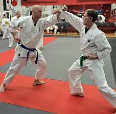 Image result for Okami Karate & Fitness Schools