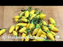 Afbeeldingsresultaat voor aji habanero hot pepper