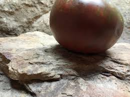 Afbeeldingsresultaat voor black oxheart tomato