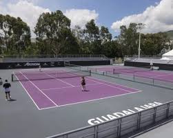 Image result for Mole Valley Mini Tennis Club