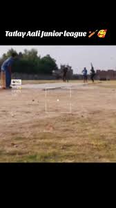 Image result for Tillside Cc