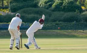 Image result for Overbury Cricket Club