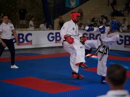 Image result for Utf Jaguar Tkd