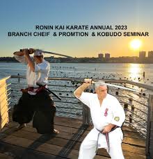 Image result for Carn Brea Karate Kai