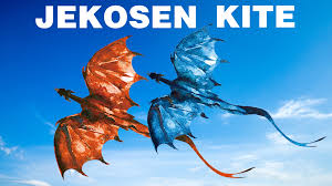 Image result for BARNET and WHETSTONE CHANGQUAN FLYING DRAGON