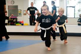 Image result for Skillz Martial Arts