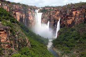 Billedresultat for kakadu n...