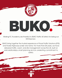 Image result for Woking Phoenix Football Club