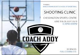 Image result for Kingston Wildcats Basketball Club