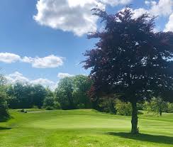 Image result for Carlow Golf Club