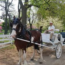 Image result for Old Park Riding Stables