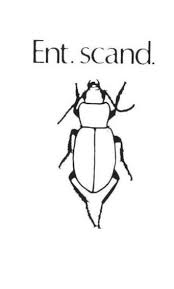 Attēlu rezultāti vaicājumam “Ilybius sp.”