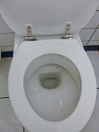 Image result for german toilet
