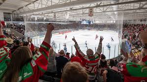 Image result for Cardiff Devils