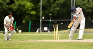 Image result for Dulwich Cricket Club