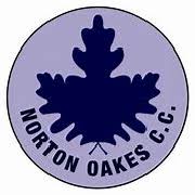 Image result for Wath Cc