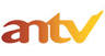 Antv