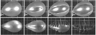 Image result for water balloon burst