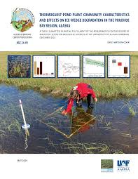 Attēlu rezultāti vaicājumam “Pseudocalliergon turgescens”