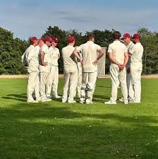 Image result for Hales Cricket Club
