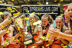 Image result for Grangetown Netball Club