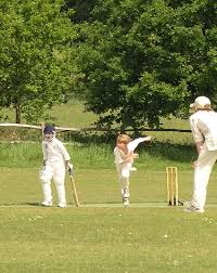 Image result for Forest Green Cricket Club
