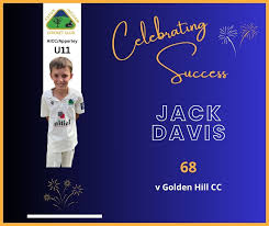 Image result for Apperley Cricket Club