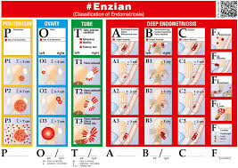 Image result for Enzian