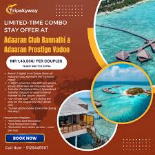 Image result for The Island Cruising Club Limited