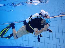 Image result for Wyndley NSC Snorkelling Club
