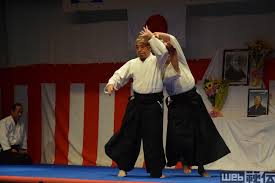 Image result for Iwama Shin Shin Aiki Shuren Kai