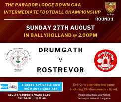 Image result for St Bronagh`s Gaa