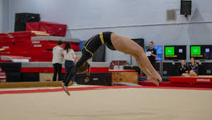 Image result for Hinckley Gymnastics Club