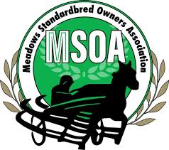 Image result for Meadows Sports Association