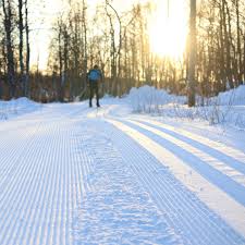 Image result for Scandinavian slope and cross country skiing