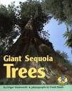 Amazon | Giant Sequoia Trees (Early Bird Nature Books) | Wadsworth ...