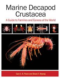 Attēlu rezultāti vaicājumam “Crustacea”