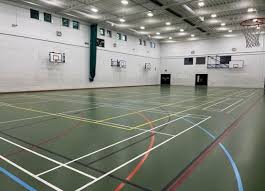 Image result for Hull Chevrons Netball Club