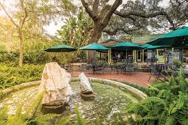 Image result for Enzian