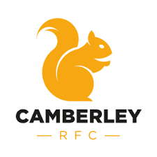Image result for Camberley Hockey Club