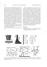 Attēlu rezultāti vaicājumam “Stemonitis marjana”