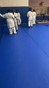 Image result for Southill Karate Club