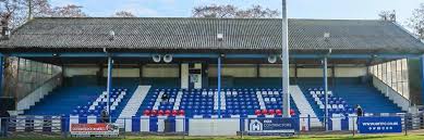 Image result for Haywards Heath Town Ladies Football Club