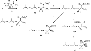 Attēlu rezultāti vaicājumam “Tetropium fuscum”