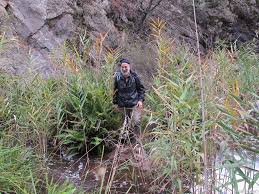 Image result for Strathbogie Rambling Club